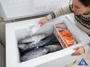 Cara Merawat Freezer Box / Chest Freezer Agar Awet dan Tetap Dingin Optimal